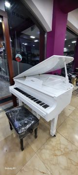 Elektro royal — RAST Musiqi alətləri — Musical Instruments