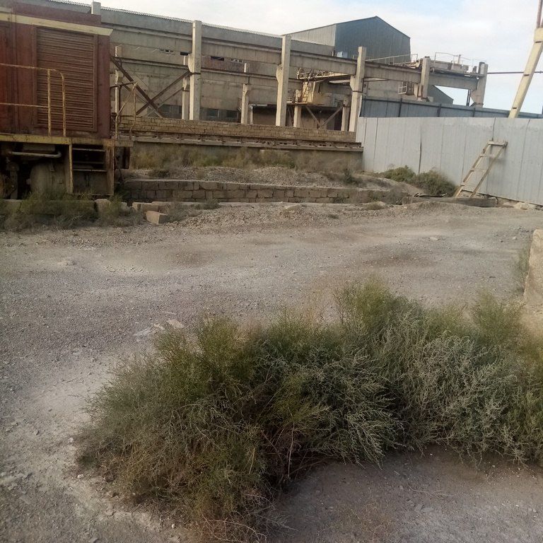 Satılır torpaq 452 sot — Torpaq, Bakı (2)