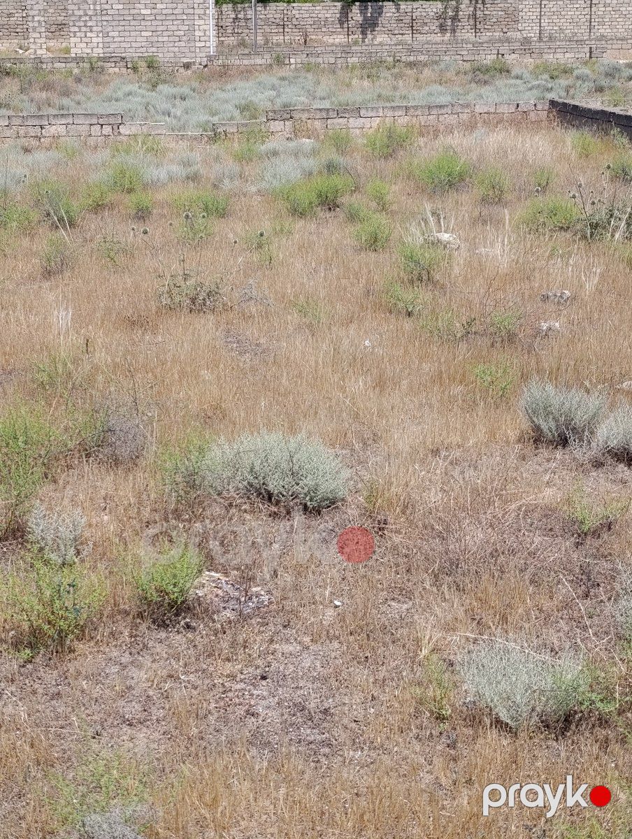 Satılır torpaq 10 sot — Torpaq, Bakı (5)