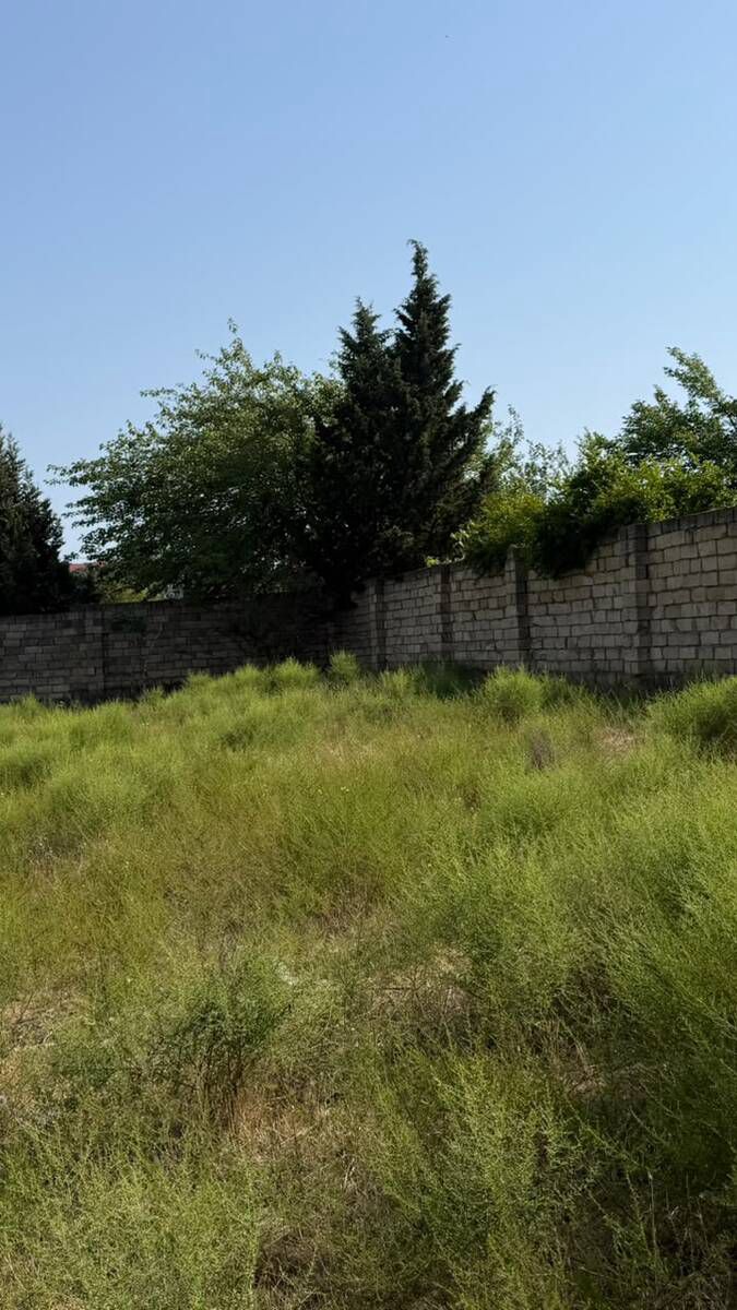 Satılır torpaq 3 sot — Torpaq, Bakı (8)