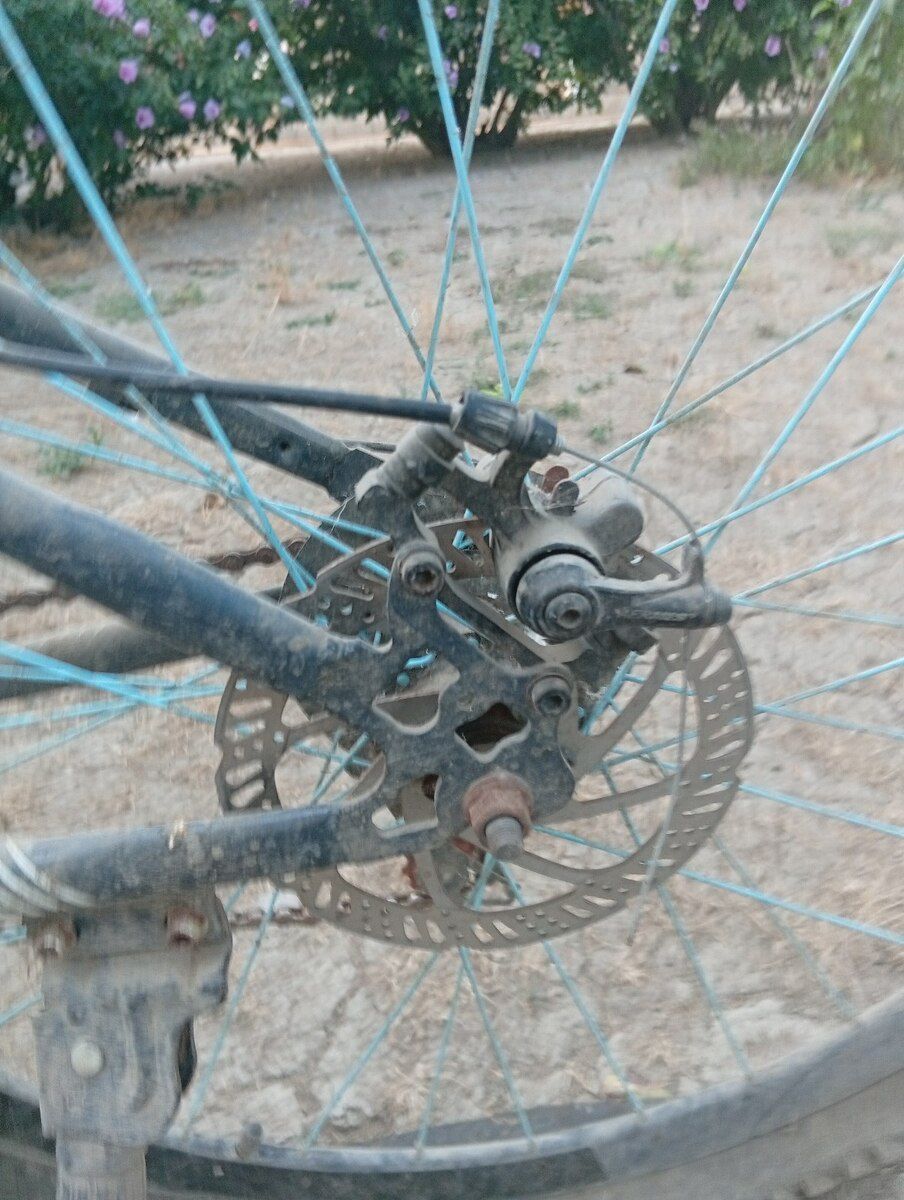 Velosiped — Velosipedlər, Qəbələ (3)