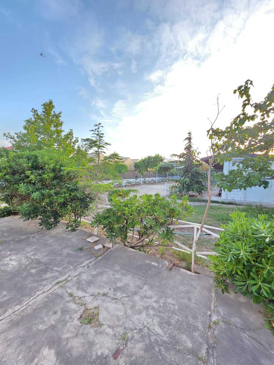 Satılır obyekt 3000 m² — Əmlak, Bakı (11)