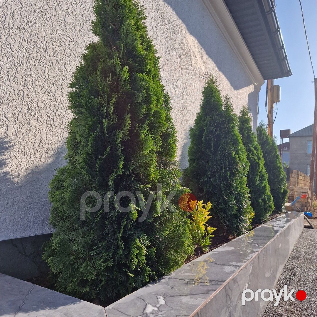 Satılır 7 otaqlı həyət evi/bağ evi 450 m² — Ev, villa, Bakı (11)