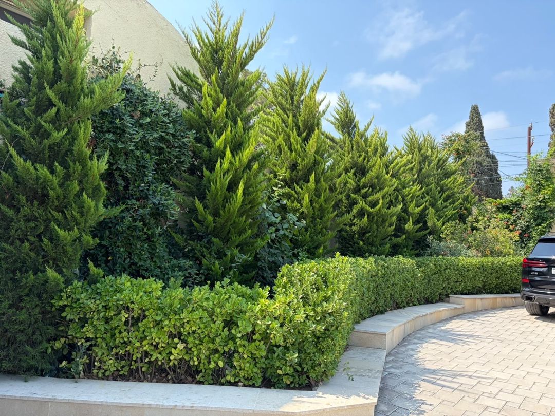 Satılır 6 otaqlı həyət evi/bağ evi 350 m² — Ev, villa, Bakı (9)