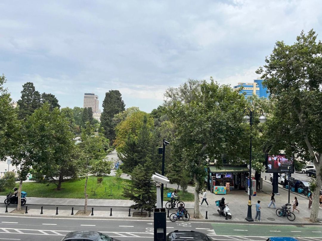 Satılır 4 otaqlı yeni tikili 246 m² — Mənzil, Bakı (4)