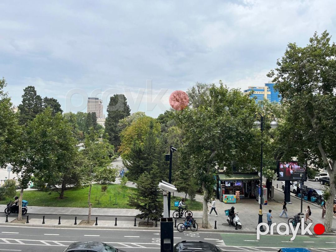 Satılır 4 otaqlı yeni tikili 246 m² — Mənzil, Bakı (4)