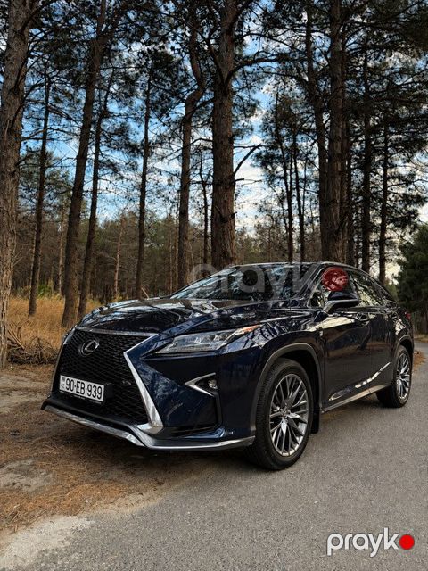 Lexus RX 300, 2.0 L, 2019 il, 125 000 km