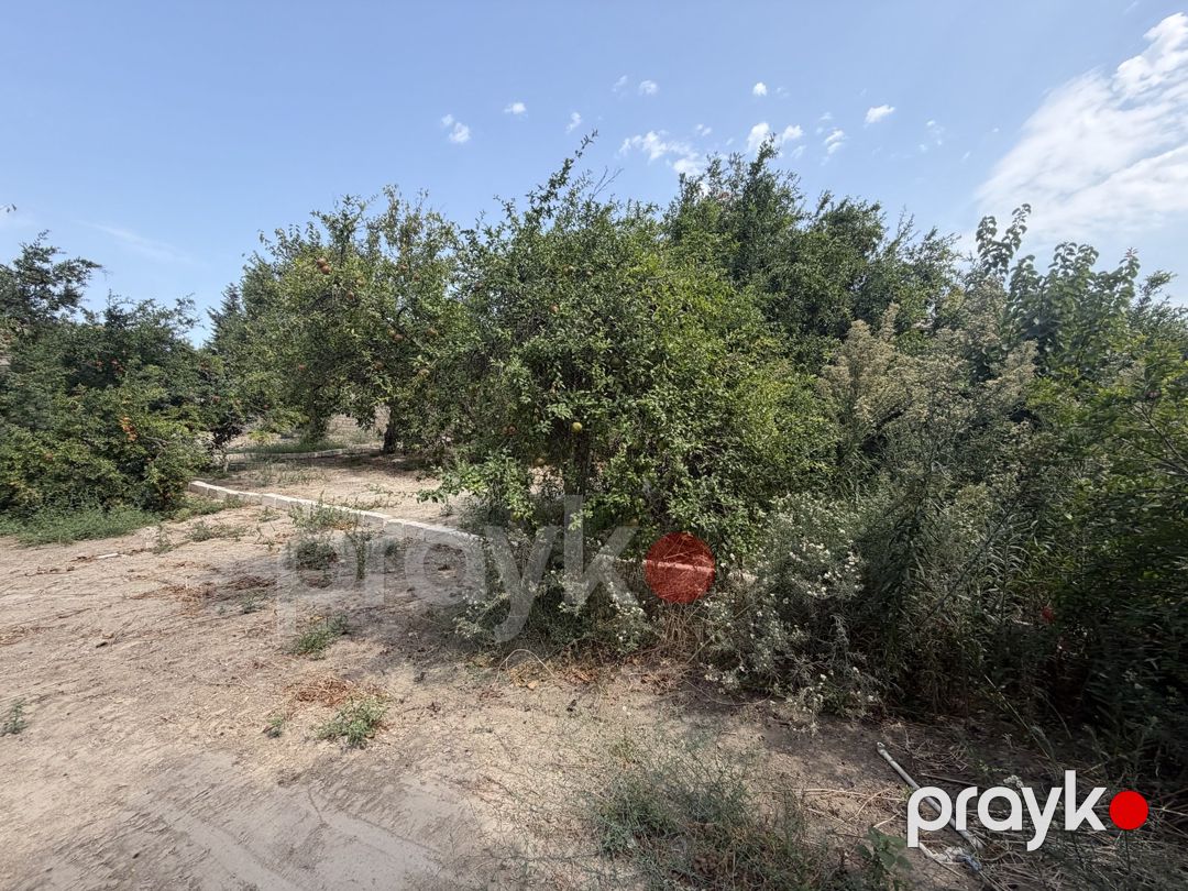 Satılır torpaq 11 sot — Torpaq, Bakı (2)