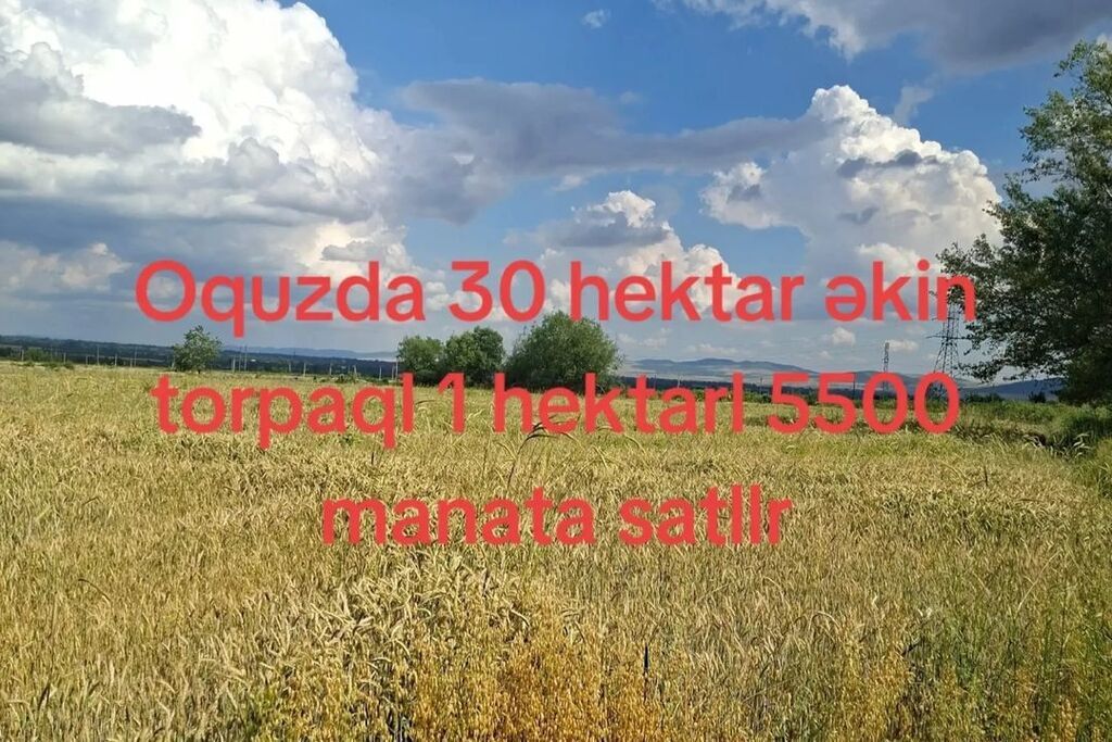 3000 sot, Kənd təsərrüfatı
