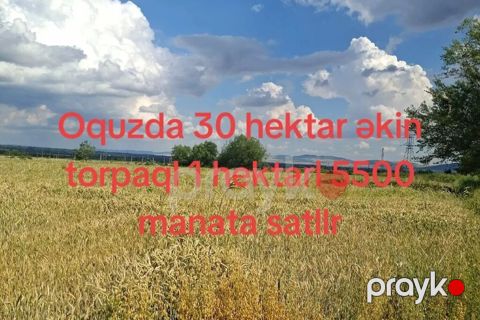 3000 sot, Kənd təsərrüfatı