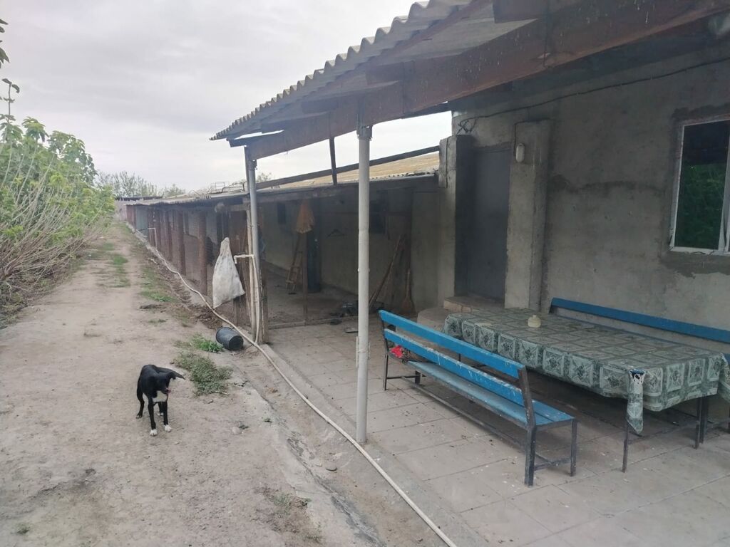 Ferma mal bazarina bir kilometr mesafede yerlesirqarabag su — Daşınmaz əmlak, Bərdə (6)