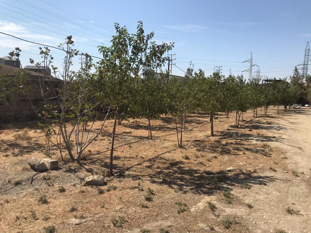 İcarəyə verilir obyekt 15000 m² — Əmlak, Bakı (6)
