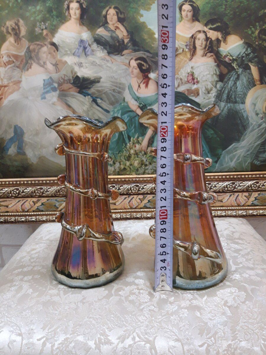 Meduza güldanı — Mallar, Bakı (2)
