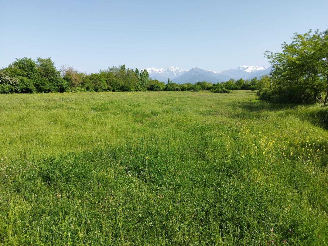 Satılır torpaq 45 sot — Torpaq, Qəbələ (5)
