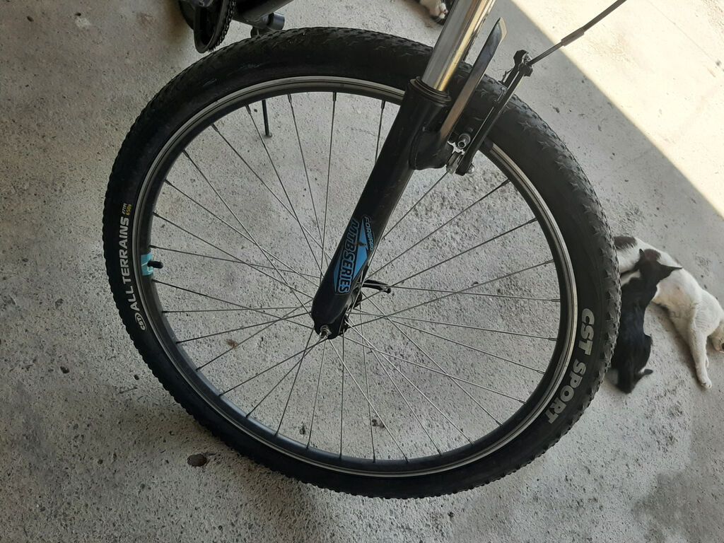 Specialized markalı dağ/şəhər tipli velosiped. Qara rəngli çərçivəyə — Dağ velosipedləri, Şəki (5)