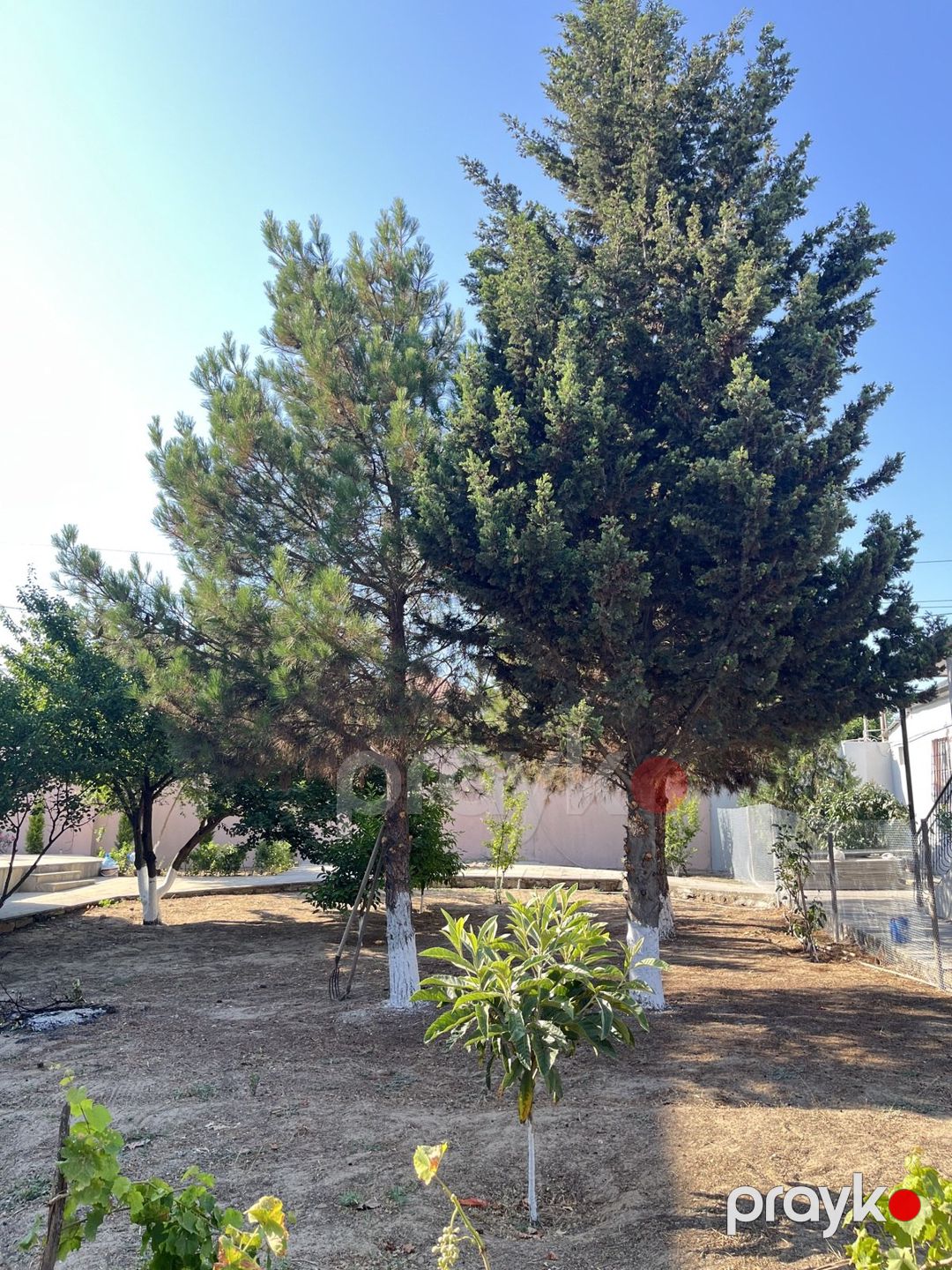 Satılır 5 otaqlı həyət evi/bağ evi 270 m² — Ev, villa, Bakı (9)
