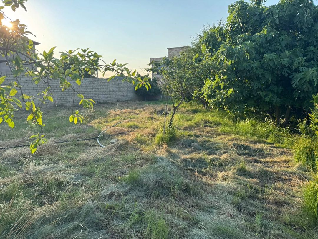 Satılır torpaq 10 sot — Torpaq, Bakı (8)
