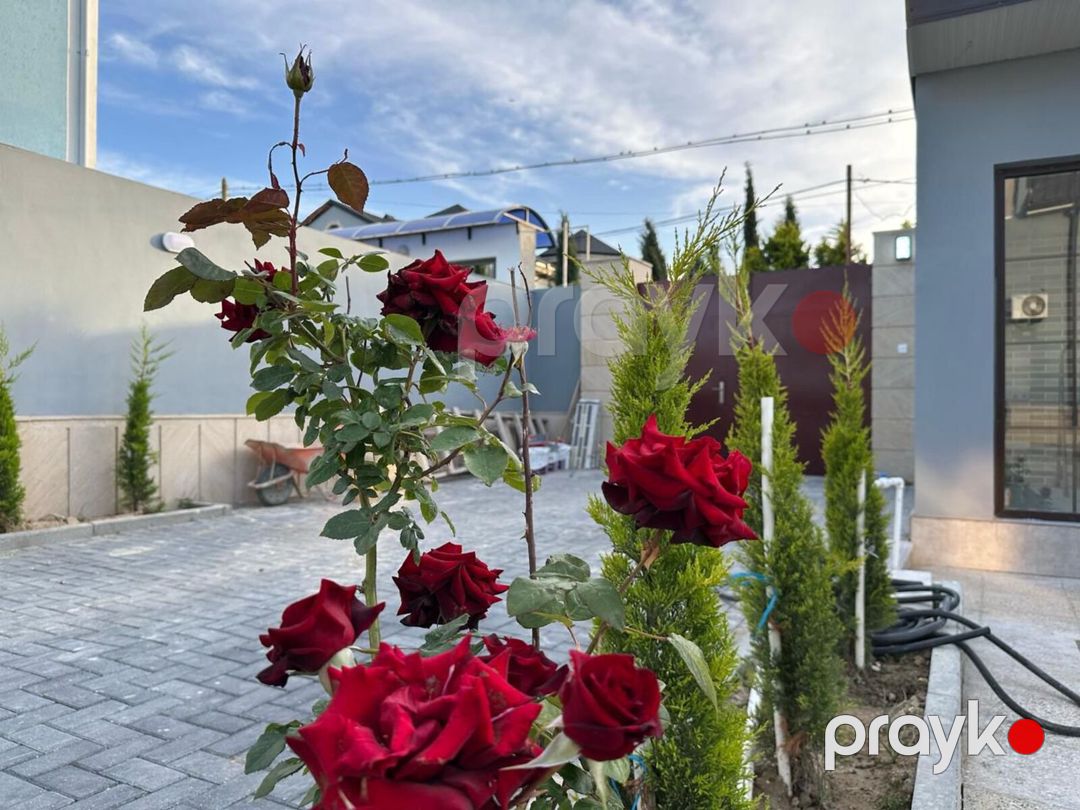 Bağ evi kirayə verilir, Mərdəkan qəs. — Daşınmaz əmlak, Bakı (8)
