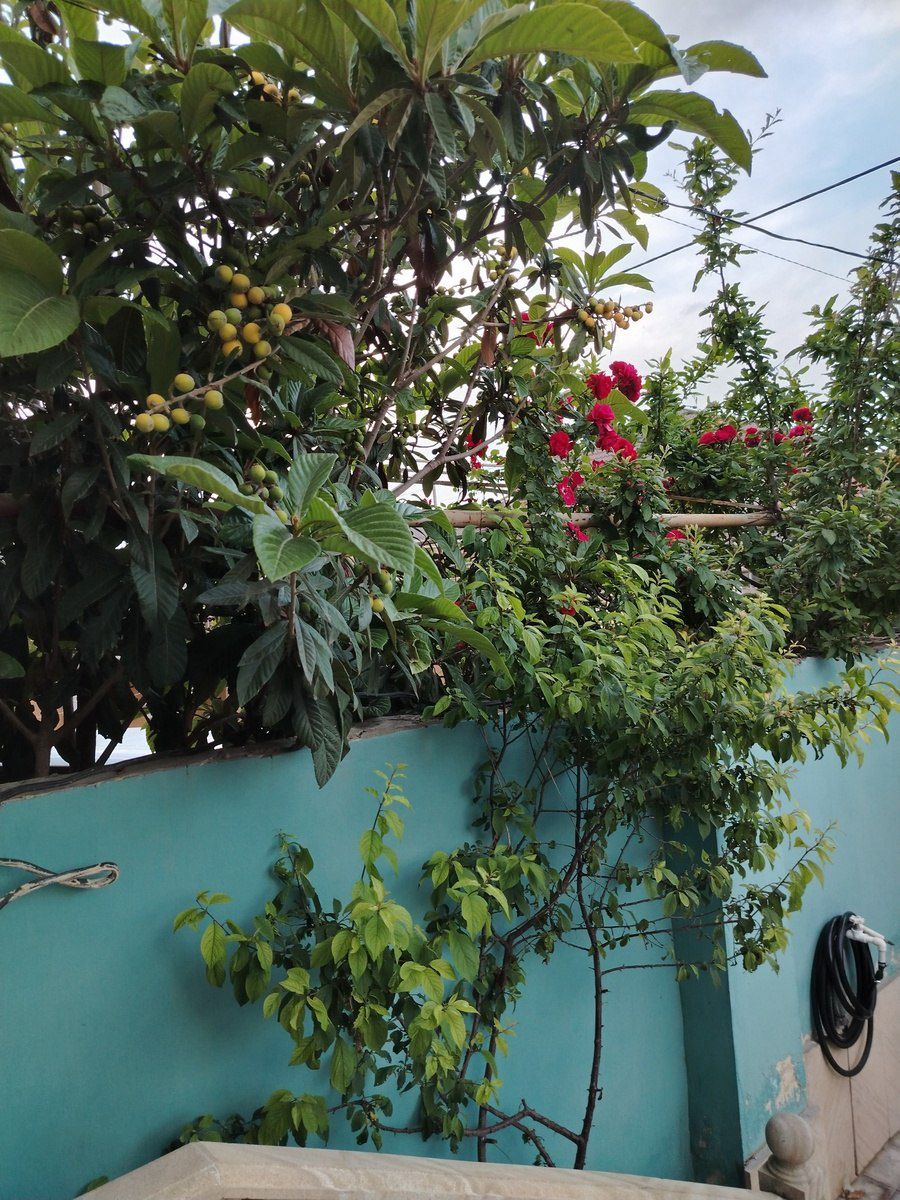 Satılır 3 otaqlı həyət evi/bağ evi 80 m² — Ev, villa, Bakı (7)