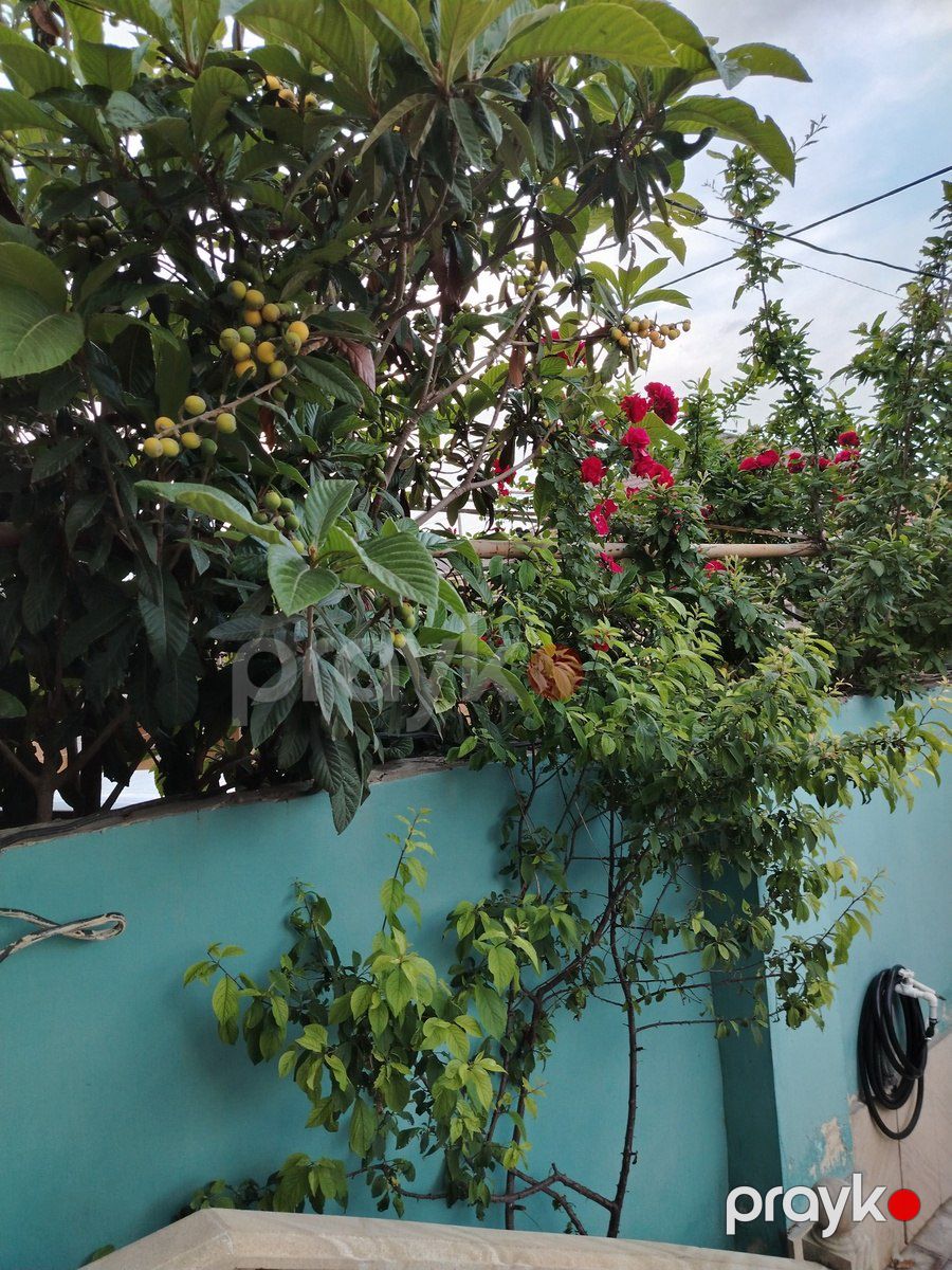 Satılır 3 otaqlı həyət evi/bağ evi 80 m² — Ev, villa, Bakı (7)