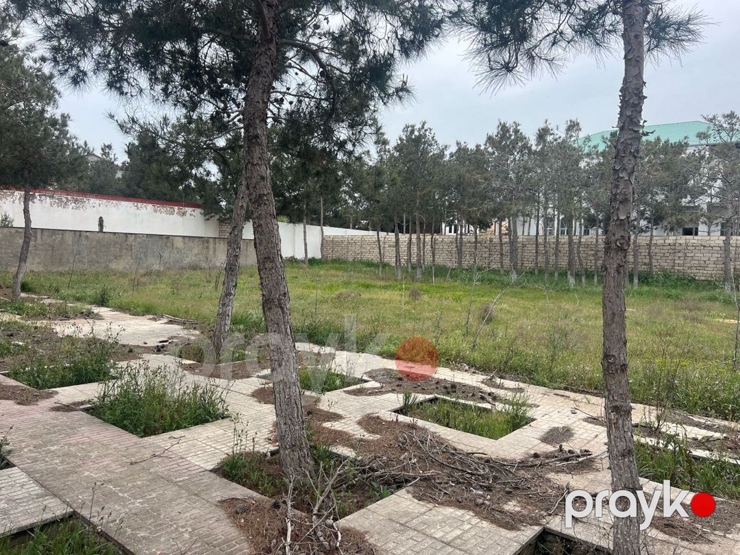 Satılır torpaq 10 sot — Torpaq, Bakı (5)
