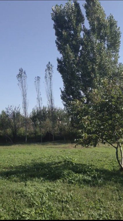Satılır torpaq 46 sot — Torpaq, Şamaxı (2)