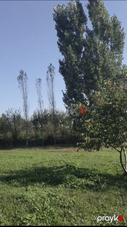 Satılır torpaq 46 sot — Torpaq, Şamaxı (2)