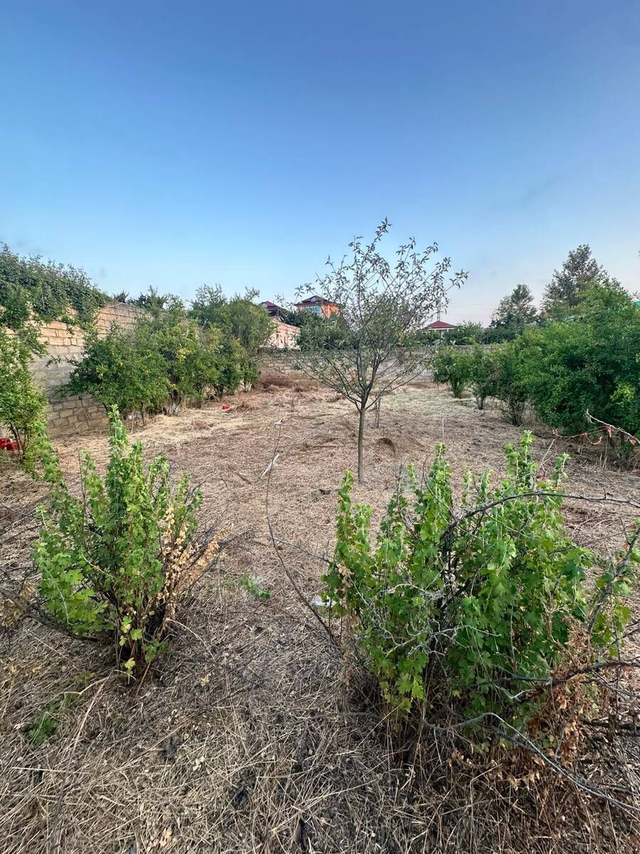 Satılır torpaq 4 sot — Torpaq, Bakı (4)