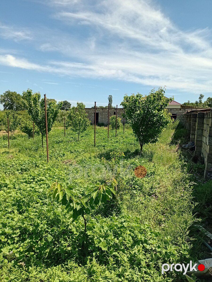 37 sot torpaq sahəsi, Xaçmaz r — Torpaq, Xaçmaz (9)
