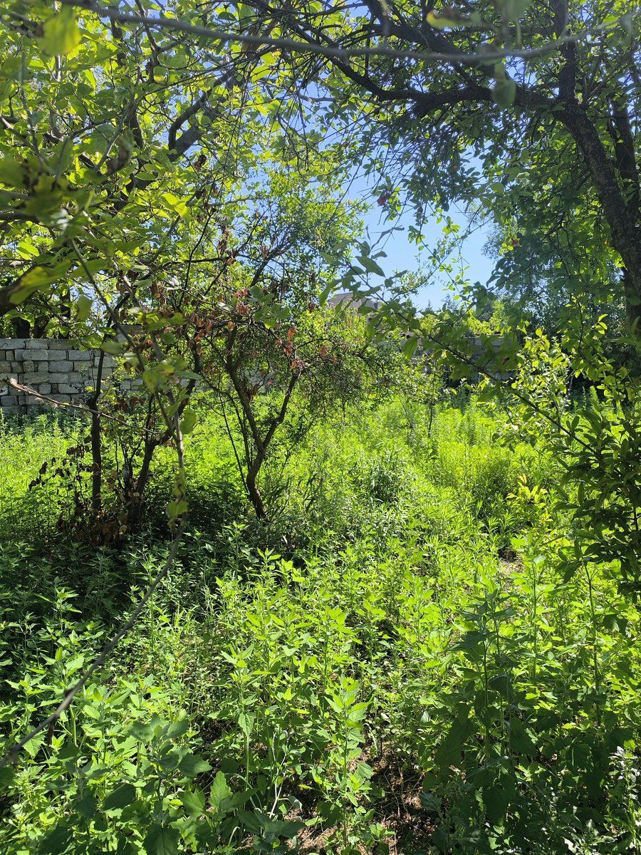 Satılır torpaq 4 sot — Torpaq, Bakı (10)