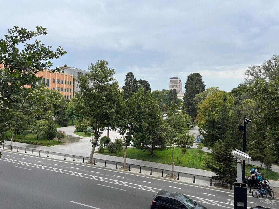 Satılır 4 otaqlı yeni tikili 246 m² — Mənzil, Bakı (6)