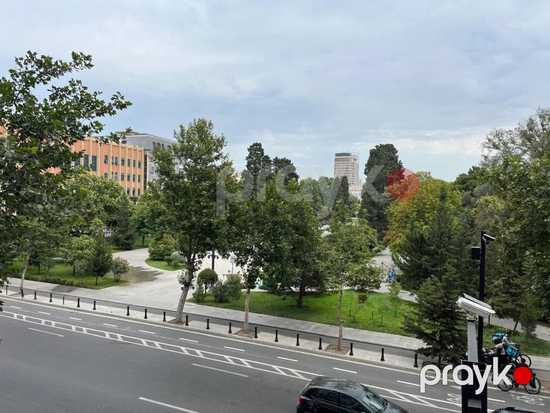 Satılır 4 otaqlı yeni tikili 246 m² — Mənzil, Bakı (6)
