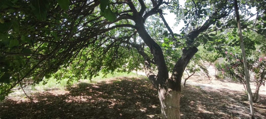 Satılır 3 otaqlı həyət evi/bağ evi 190 m² — Ev, villa, Bakı (8)