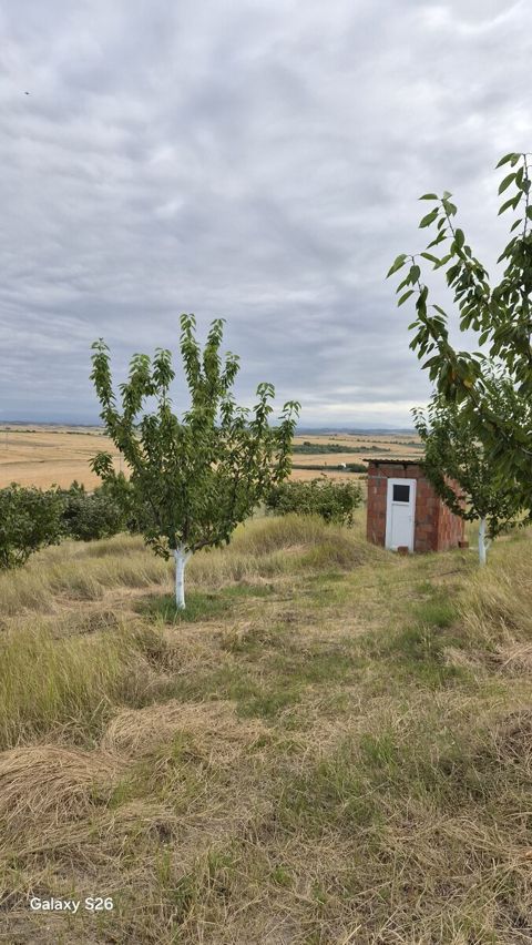 200 sot torpaq sahəsi, Bedişqala k.