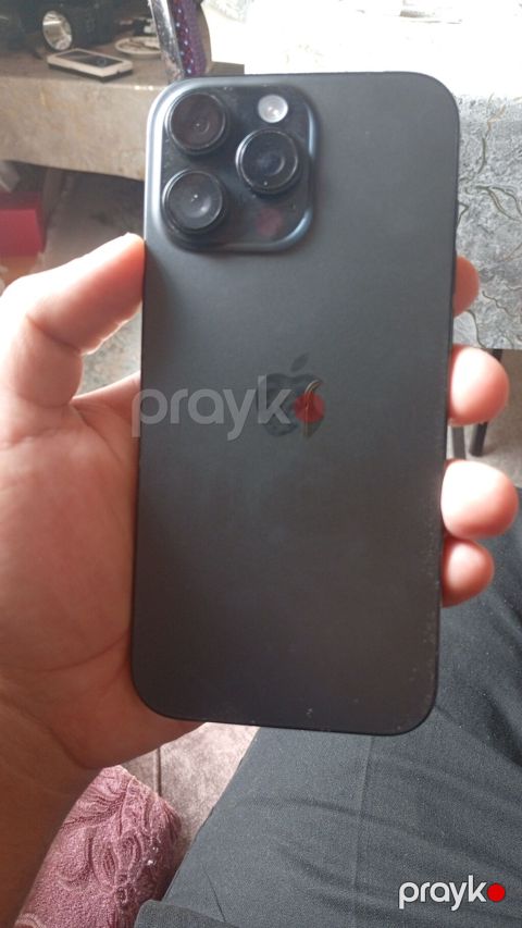 IPhone 16 Pro Max, Qara
