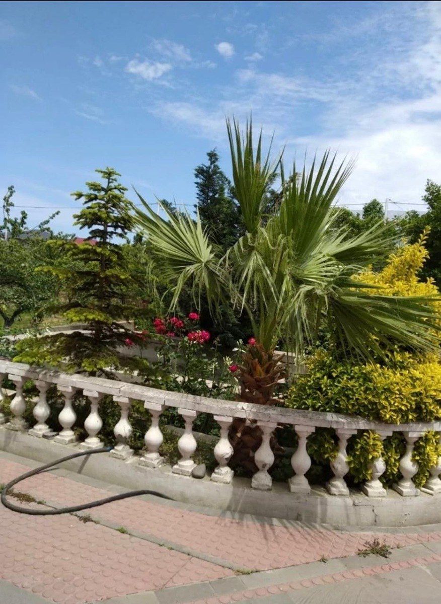 Satılır 14 otaqlı həyət evi/bağ evi 630 m² — Ev, villa, Bakı (6)