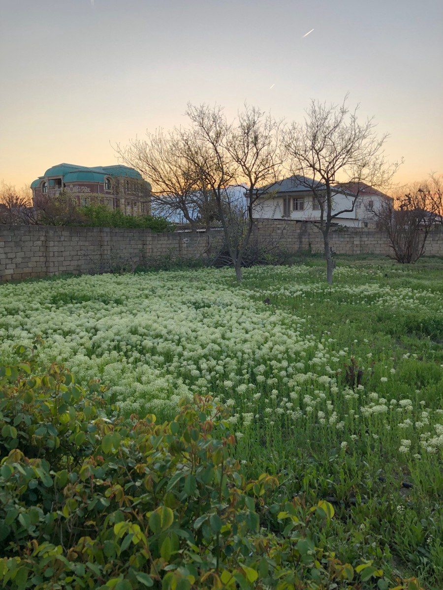 5 sot torpaq sahəsi, Y.Saray qəs. — Torpaq, Bakı (9)