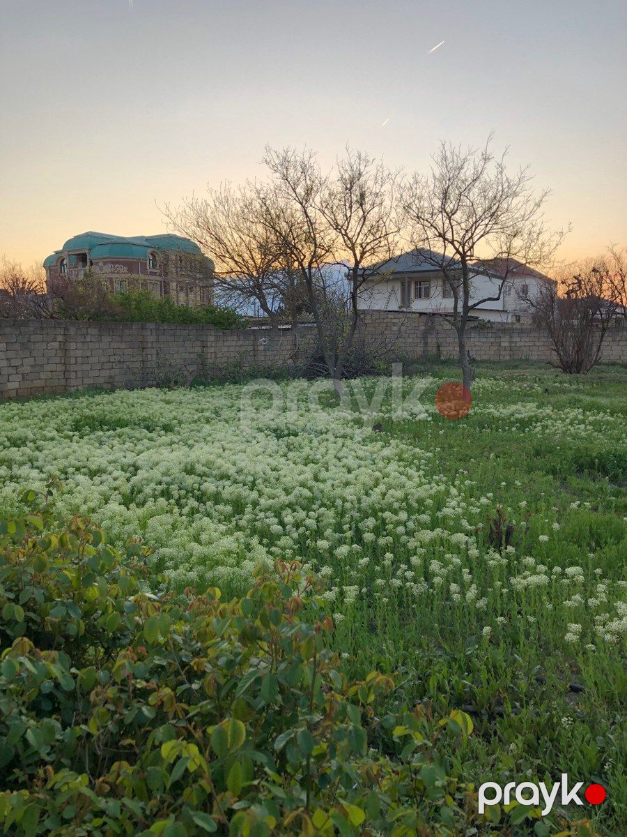 5 sot torpaq sahəsi, Y.Saray qəs. — Torpaq, Bakı (9)