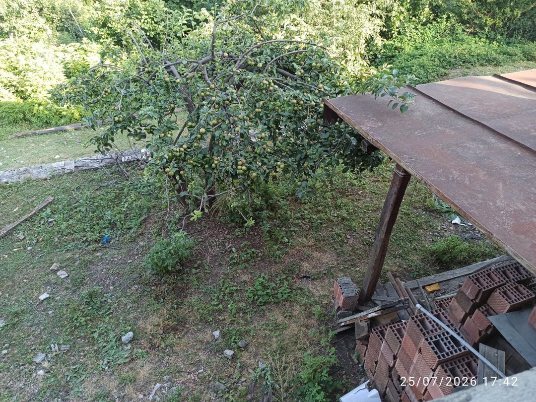 Bağ evi, İsmayıllı r. — Daşınmaz əmlak, İsmayıllı (7)