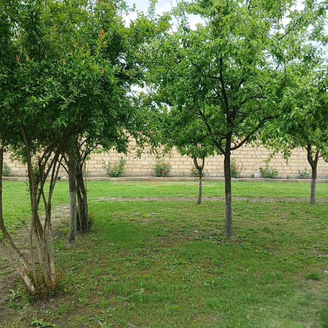 Həyət evi kirayə verilir, Oğuz r. — Ev, villa, Oğuz (11)