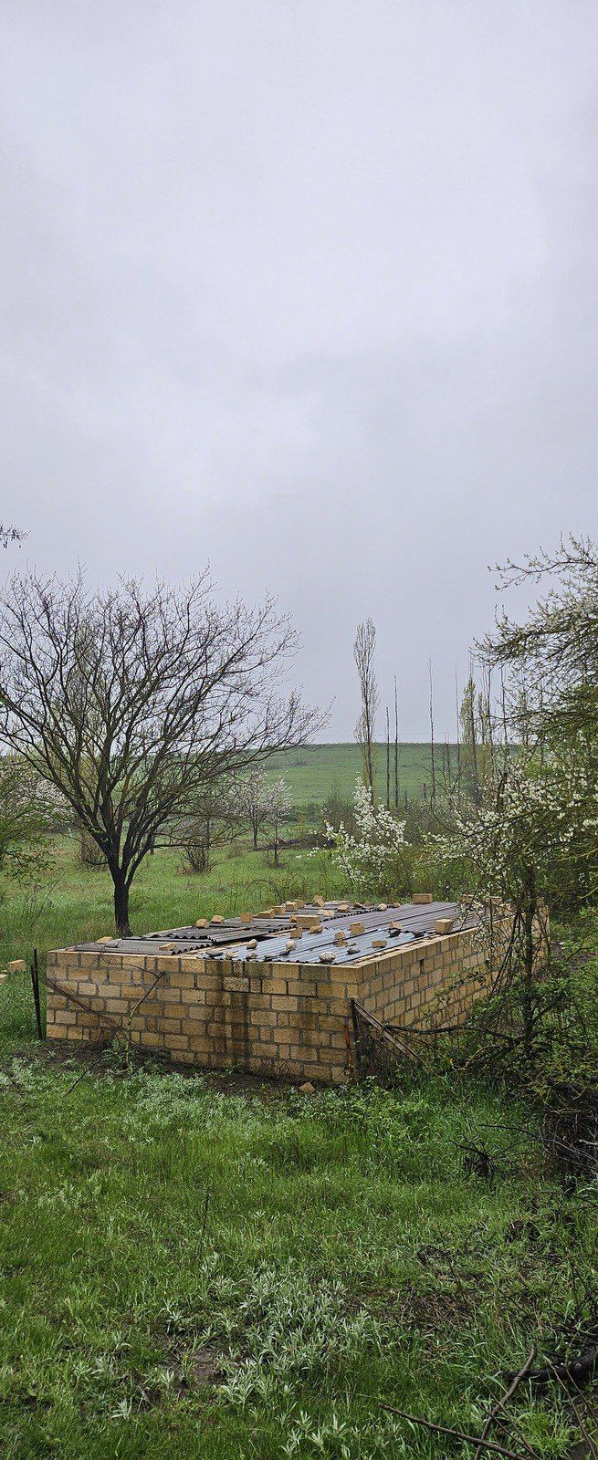 12 sot torpaq sahəsi, Bədirqala k. — Torpaq, Qusar (8)