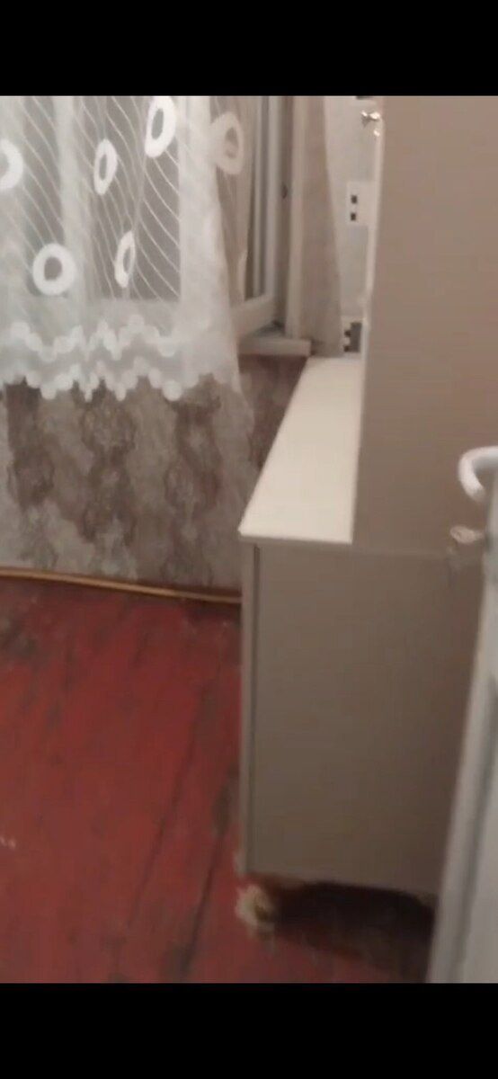 1-otaqlı mənzil kirayə verilir, Gəncə ş., 38 m² — Daşınmaz əmlak, Gəncə (2)