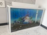 Dördbucaq akvarium, Balıqlarla birlikdə, 15 l, Ünvandan götürmə — Satıcı