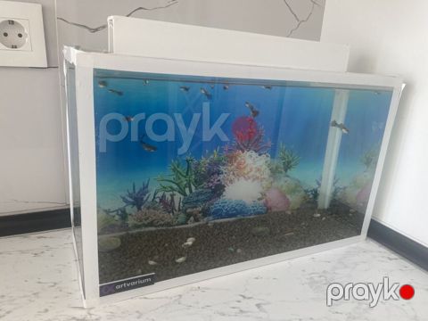 Dördbucaq akvarium, Balıqlarla birlikdə, 15 l, Ünvandan götürmə