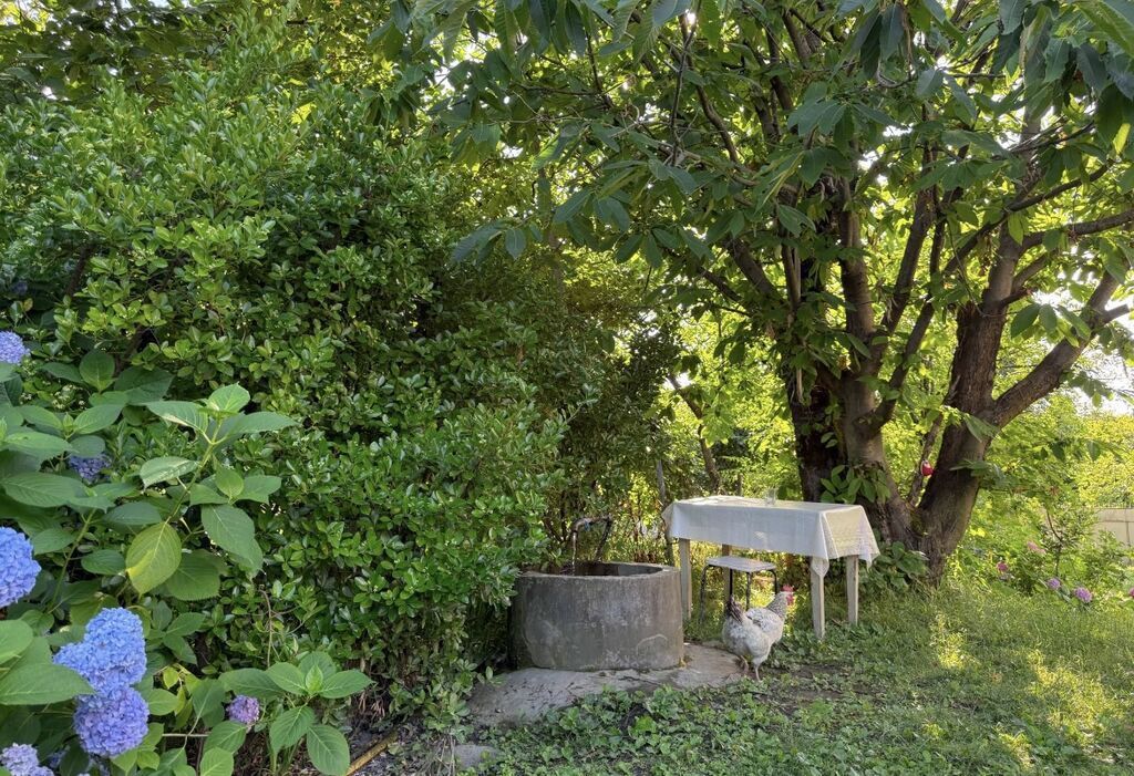 Zaqatalada həyət evi kiraye verilir — Daşınmaz əmlak, Zaqatala (8)