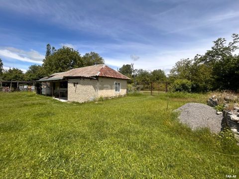 Həyət evi, Şəki ş.