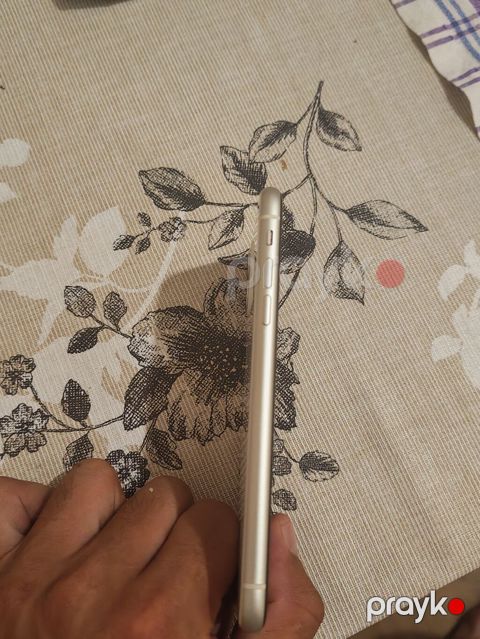 IPhone 11, Ağ