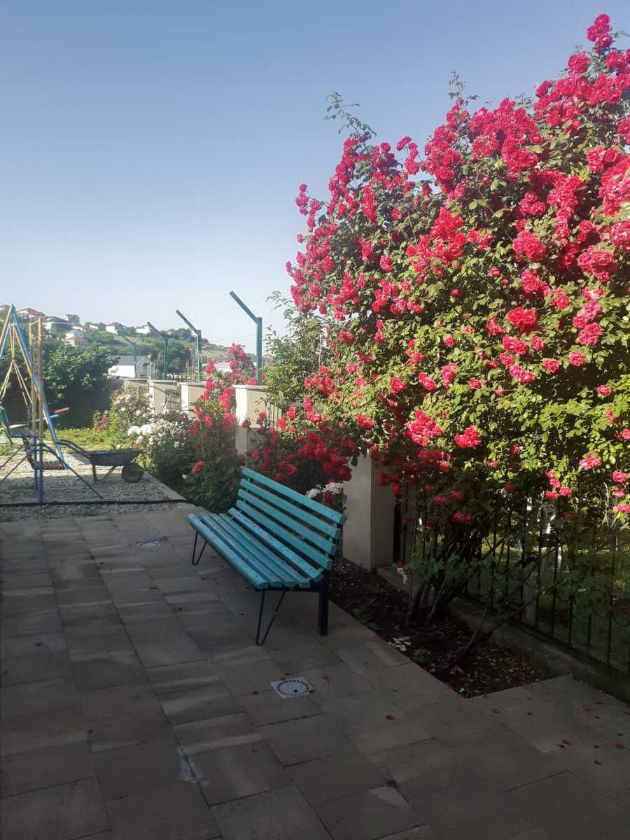 Villa kirayə verilir, Şamaxı r. — Daşınmaz əmlak, Şamaxı (5)