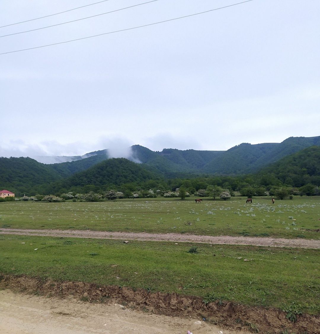 50 sot torpaq sahəsi, Qusar r. — Torpaq, Qusar (6)
