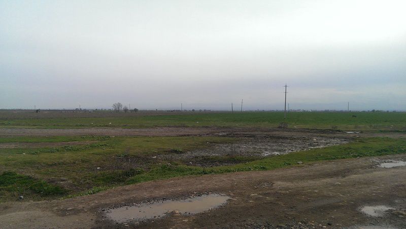 Satılır torpaq 131 sot — Torpaq, Tovuz